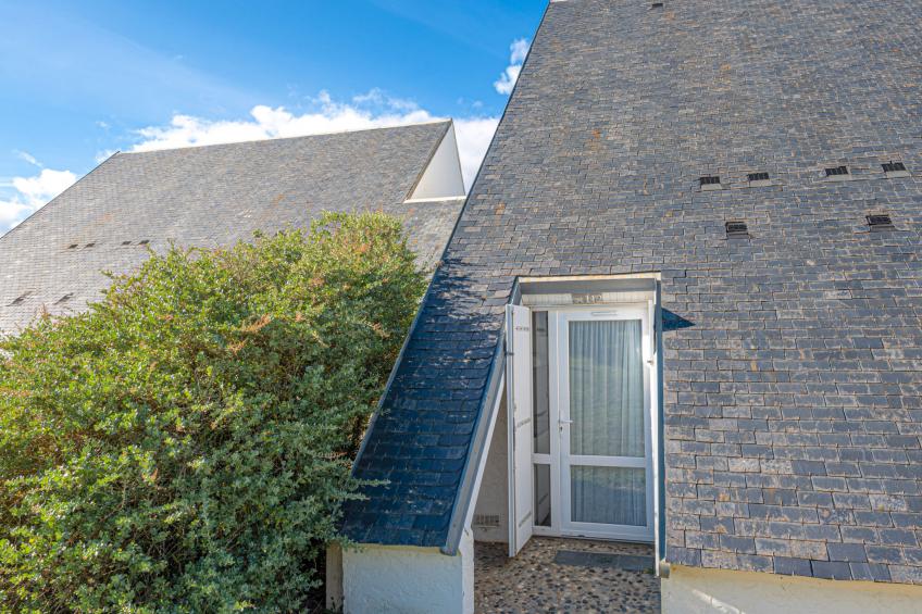 Sud Océan - foto 33