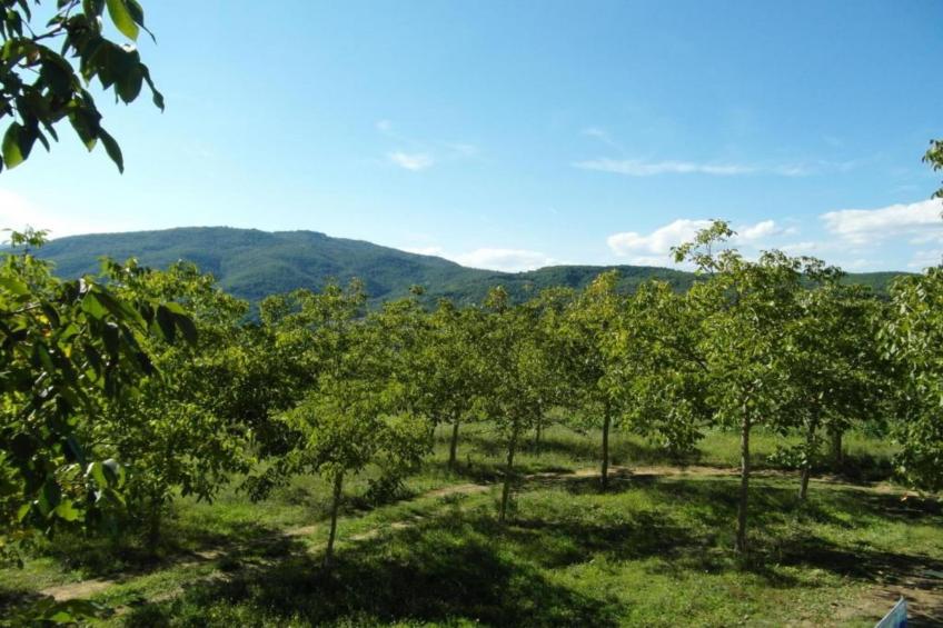 Appartamento per 6 - foto 35