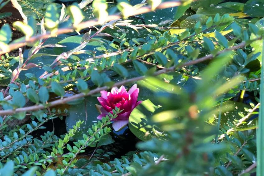 Villa Rubcic - Two Bedroom Apartment and Balcony (1) - foto 30