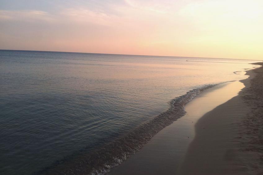 Il Fico - ganz in der Nähe des Meeres - foto 14