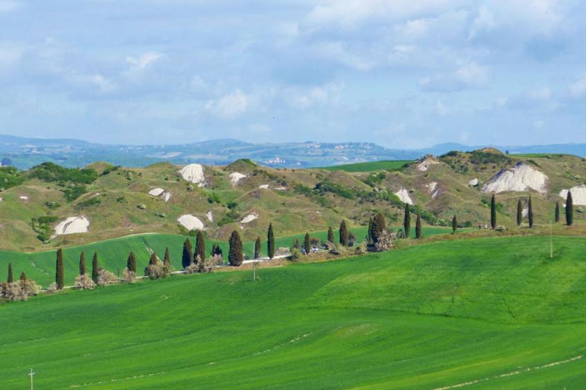 'Molinello albicocco' - foto 44