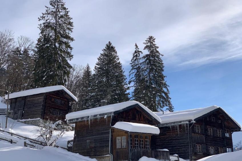 Chalet Mahli in Saas bei Klosters - foto 27