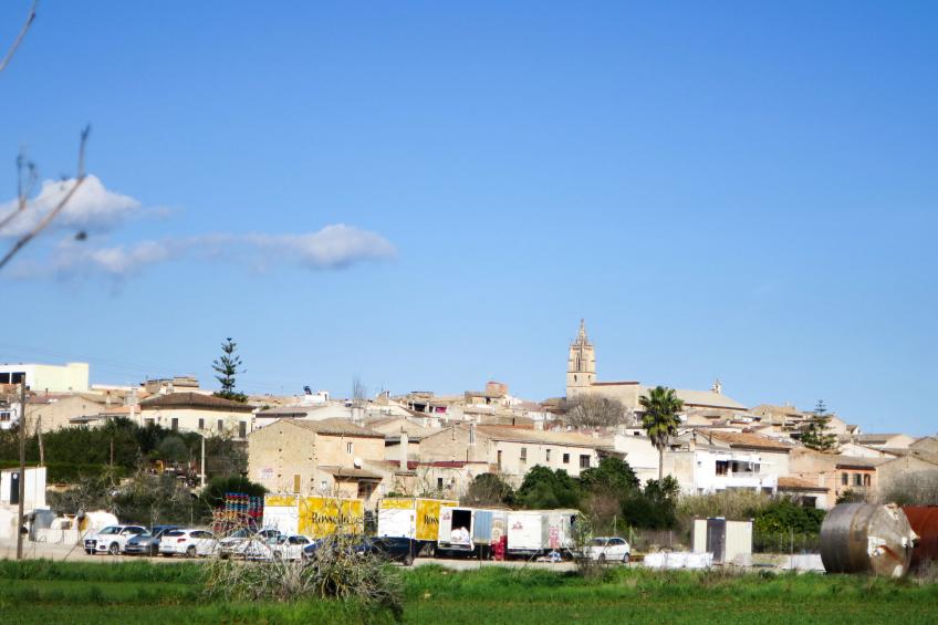 Mulet Llubi - foto 48