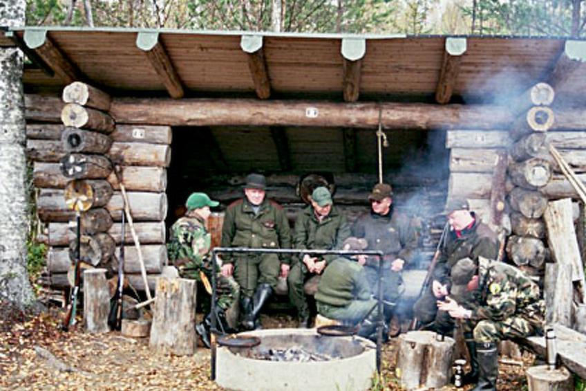 Koivuniemi - foto 29
