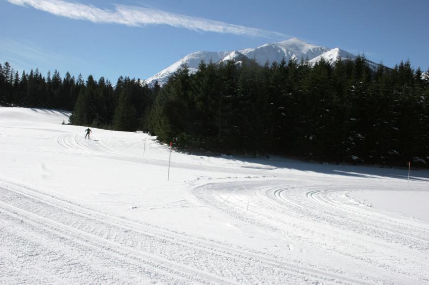 Chalet Almdorf 8 - foto 35