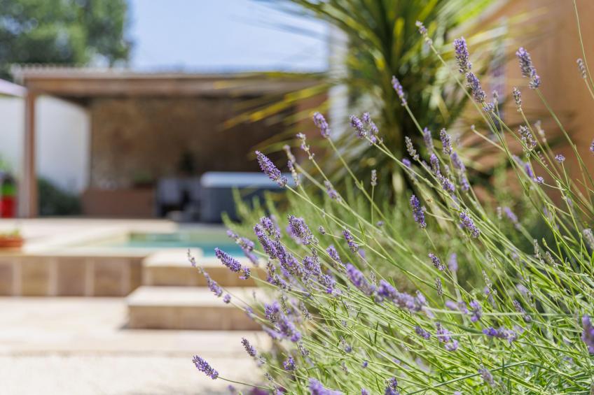 Casa Bella - foto 42