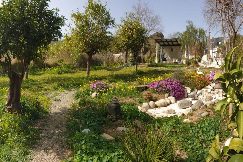 Das Lotus-Haus - foto 51