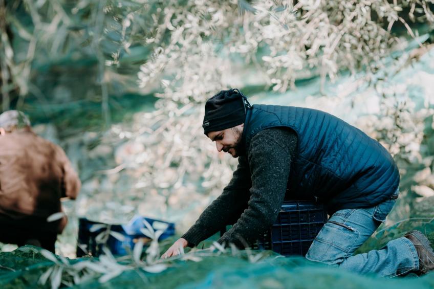 Wohnung mit schönem Blick auf den Golf von Dianese - foto 29