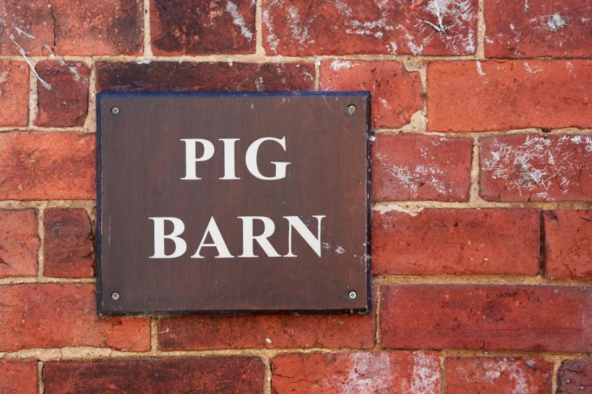 The Pig Barn - foto 10