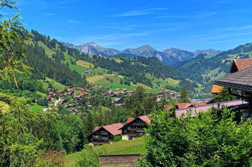 Chalet Finkenwiese - für 8 Erwachsene und 5 Kinder - foto 15