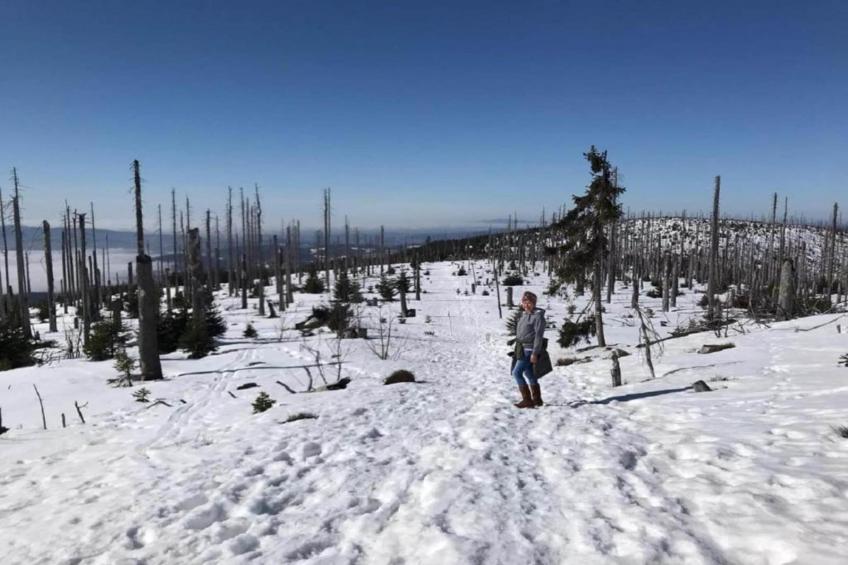 Geyersberg Freyung- Typ A Standard - foto 14