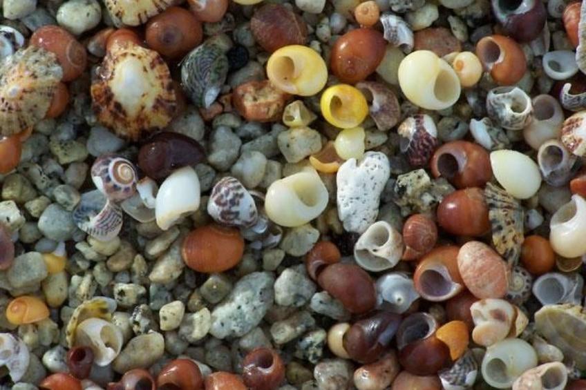 Idyllischer Landsitz mit Meerblick - foto 23