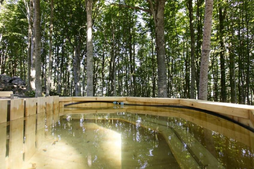 Berg "Chalet Galli" mit SPA - foto 57