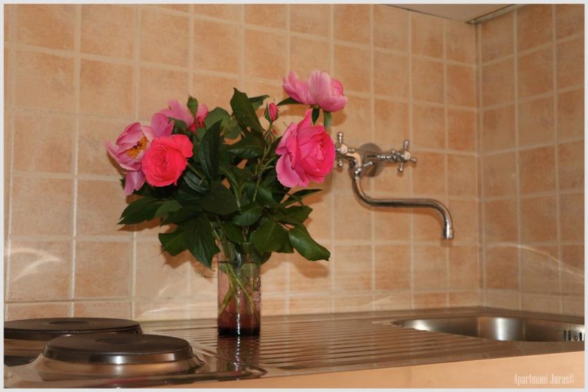 Apartments Juras - Studio Apartment with Sea View (Mia) - foto 3