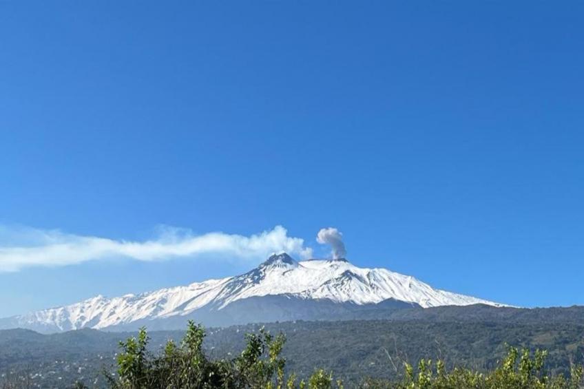 Villa Aloe Charming House - foto 36