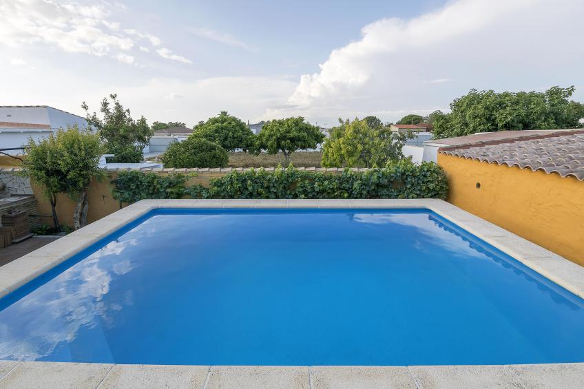 Rincon De La Huerta - foto 26