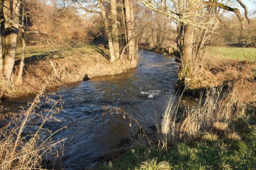 La Bressine - foto 39