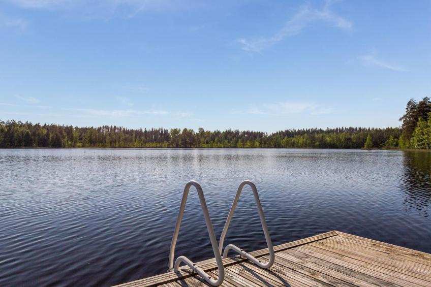 Koivuniemen rouva - foto 5