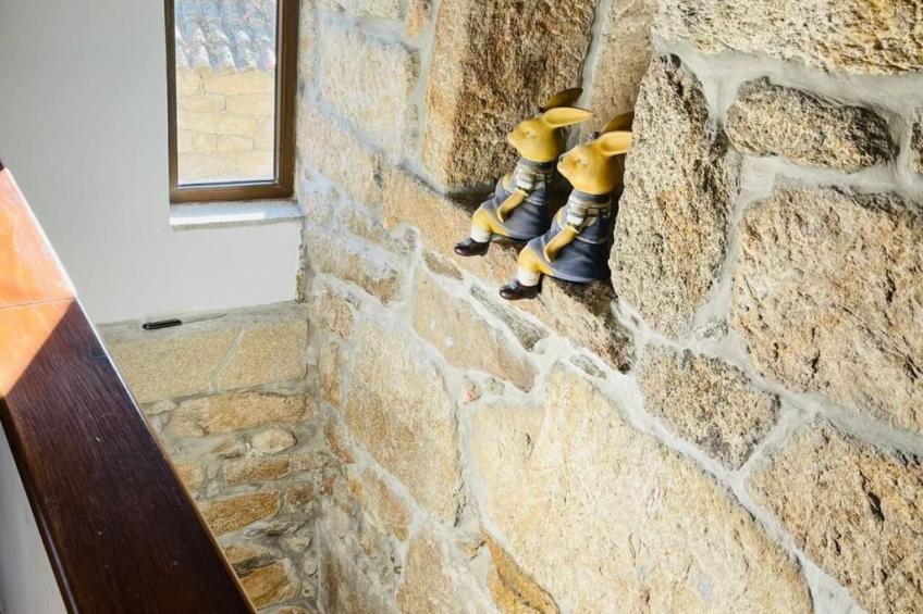 Aufenthalt in einem Naturparadies bei Alvão - foto 21