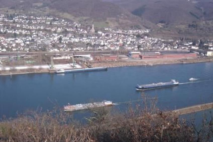 Am Waldrand - foto 23