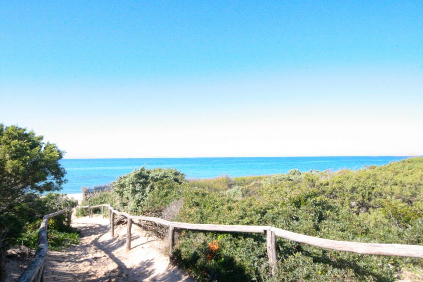 La Casetta di Franci - foto 26