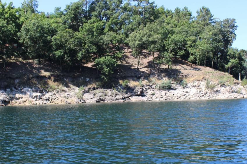 Casa de Casarelhos - foto 46