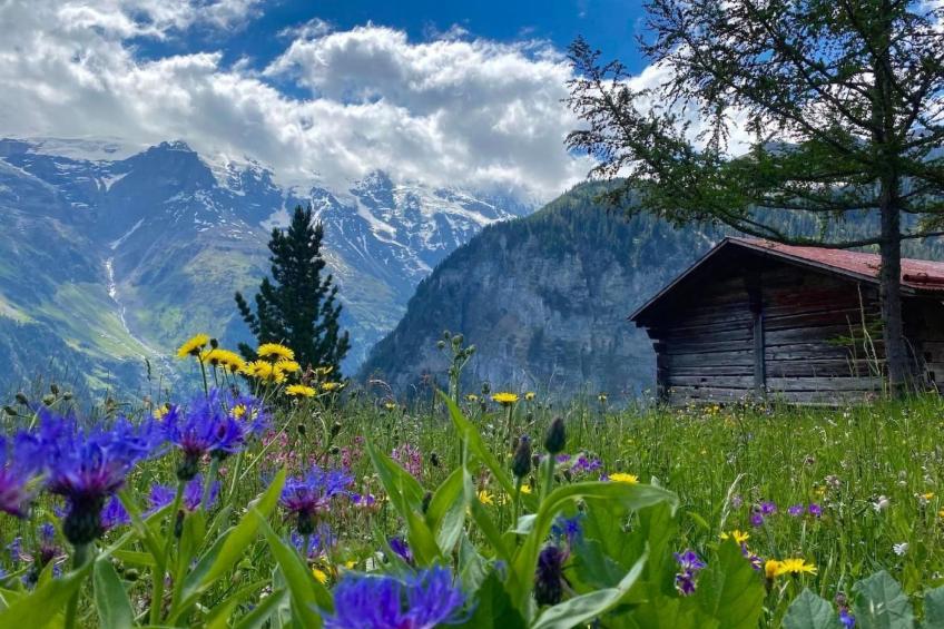 Ferien-Apartment mit Lounge - foto 23