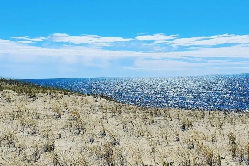 Villa Cocoon Contis-plage 1 chambre - foto 24