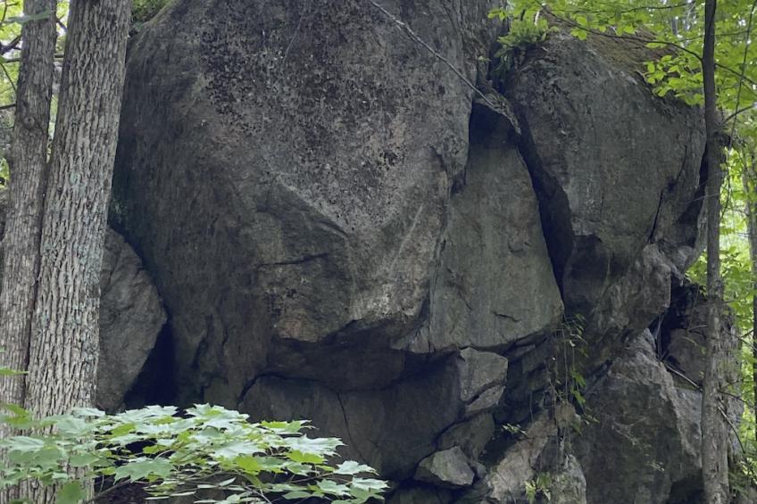 Kiltearn am See - foto 32