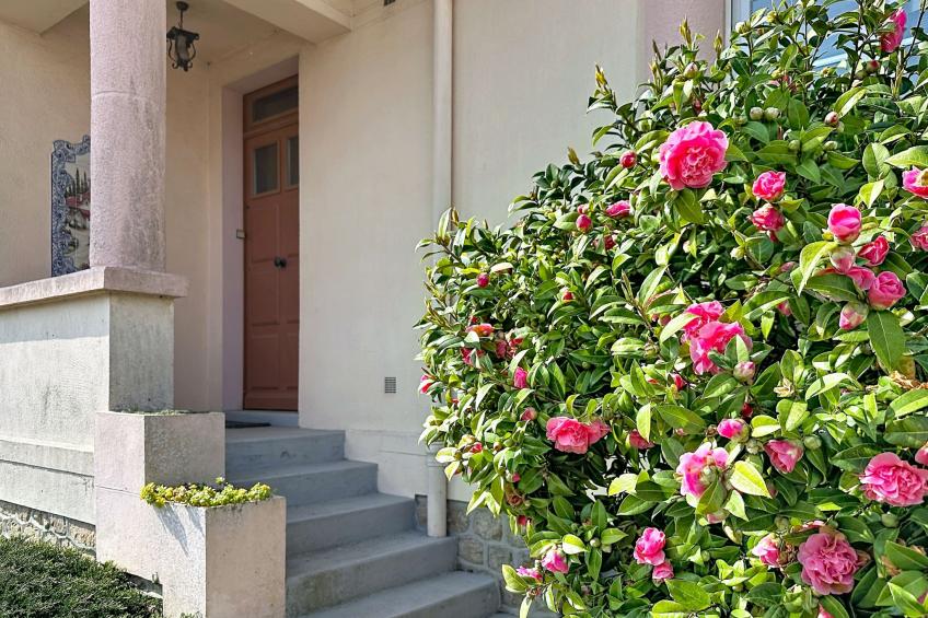 La Rose des Pins - foto 4