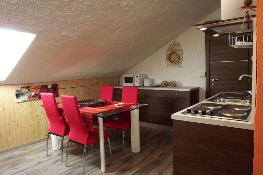 Flache Kornblume - foto 6