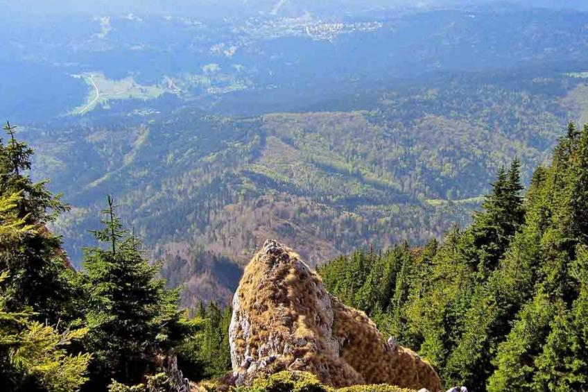 Casa Nicu - traditionelles Landhaus in Hirtendorf - foto 36