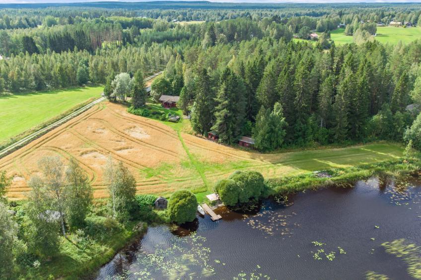 Petäjäniemi - foto 54