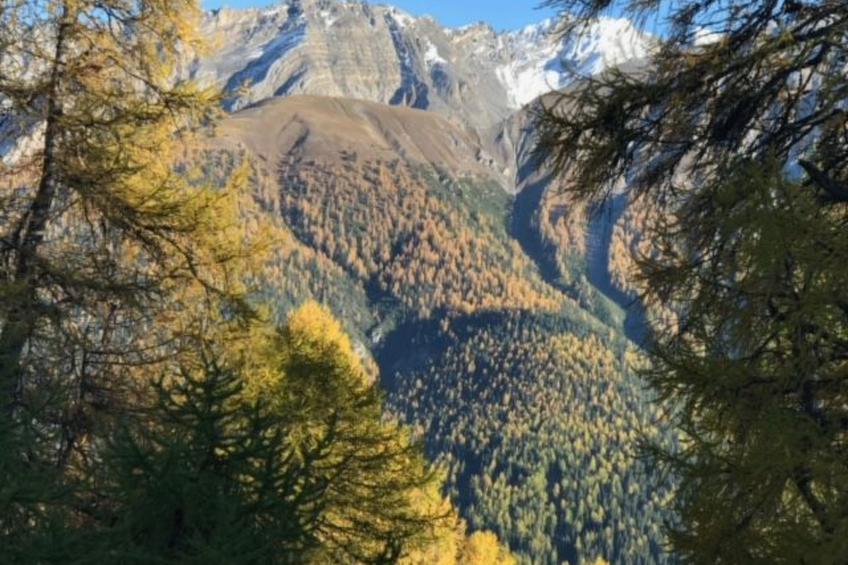 Chasa Ernst - foto 32