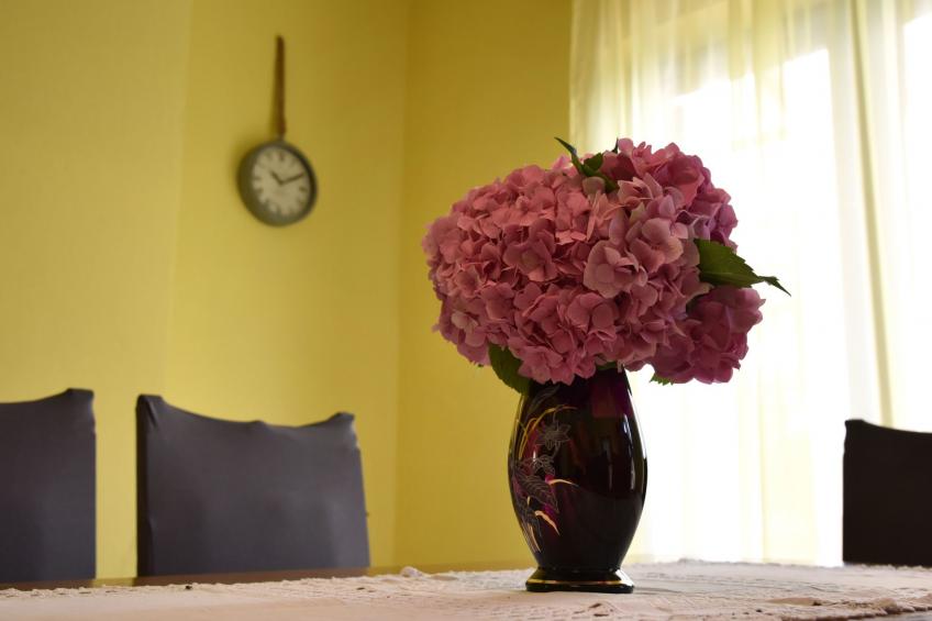 Hütte mit Garten, Grill und Terrasse - foto 31