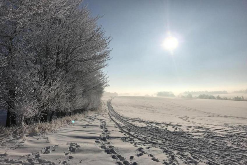 Ferienhaus an der Ostsee in Pruchten - foto 34
