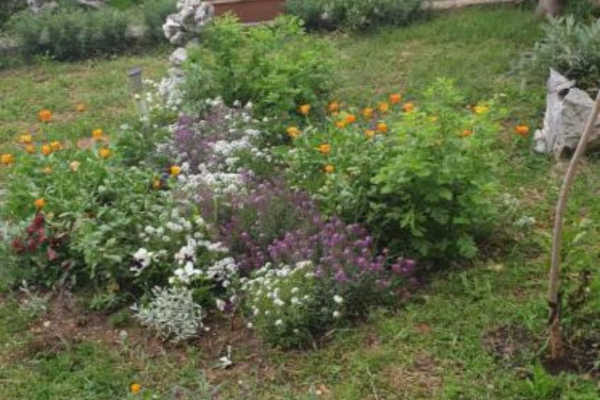 Apartments Marko - One Bedroom Apartment (Ground Floor) - foto 19