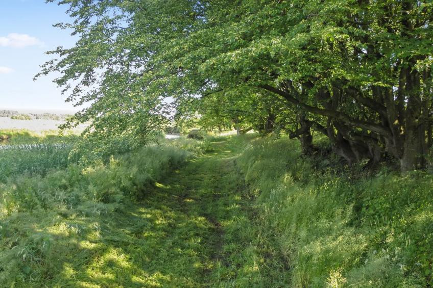 "Beatha" - 25km to the inlet in Western Jutland - foto 4