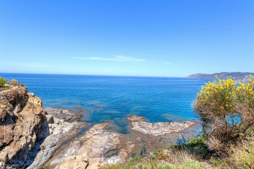 Palmiers 01 - foto 22