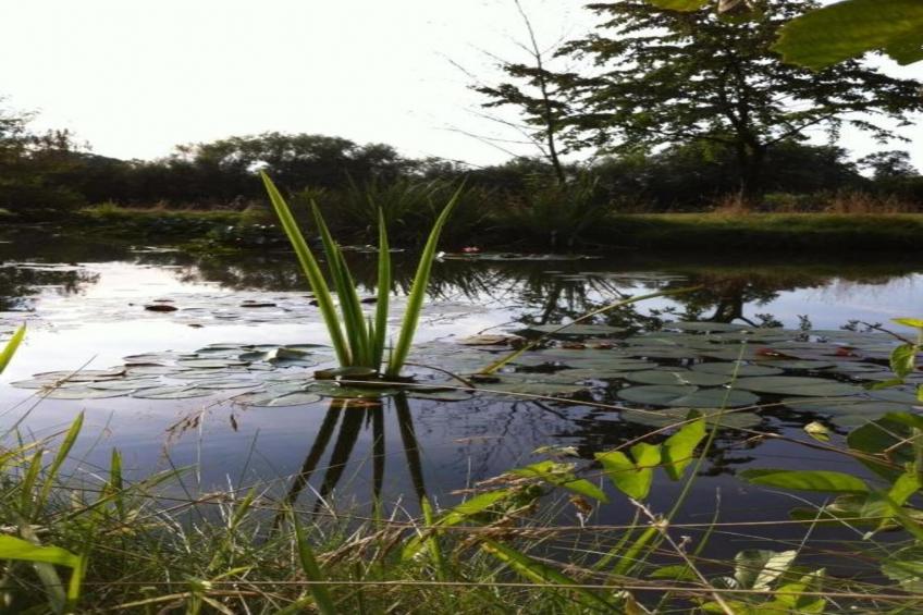 Ferienresort Bad Bentheim 32 - foto 31