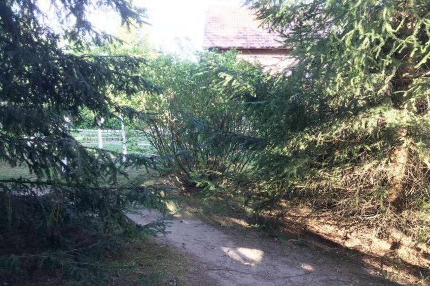 Holiday Home Louisa - foto 39