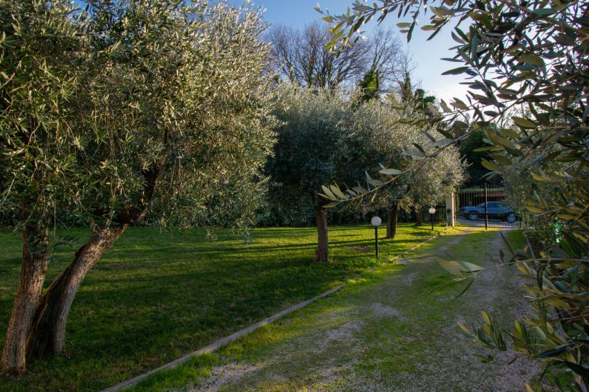 tre fontane - foto 16