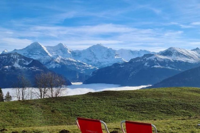 LiloTopMountainView - foto 19