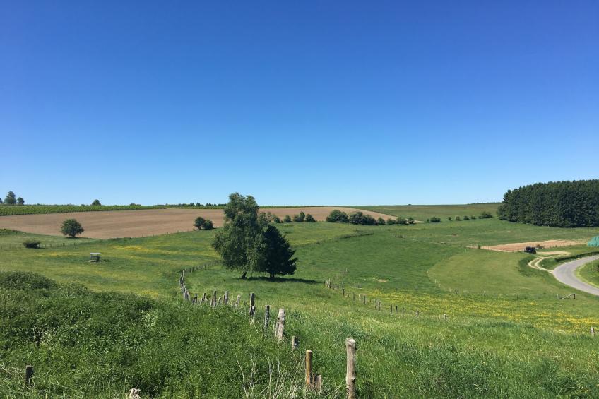 Les Chenets - foto 29