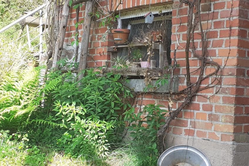 für 6 Personen im Thüringer Wald - foto 32