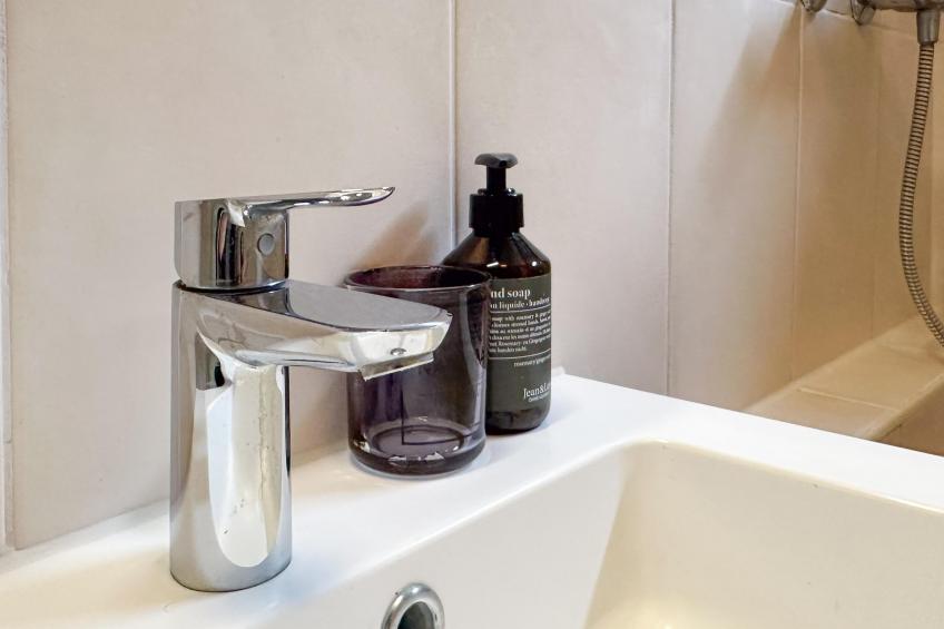 De Paradijsvogel - foto 24