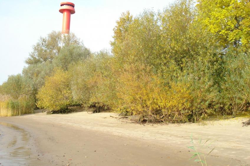 Elbe-Ferienwohnung mit Terrasse nah am Zentrum - foto 18