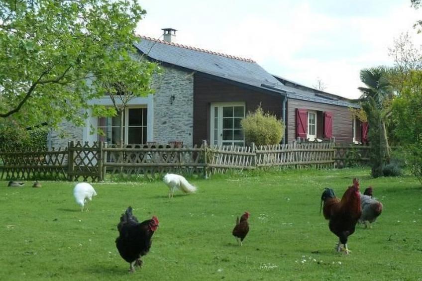 "Au Bas Chalonge Gîte" - foto 20