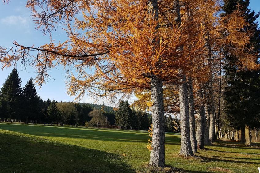 Am Südhang 11 - foto 34