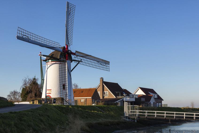 am Meer in Zeeland - foto 21